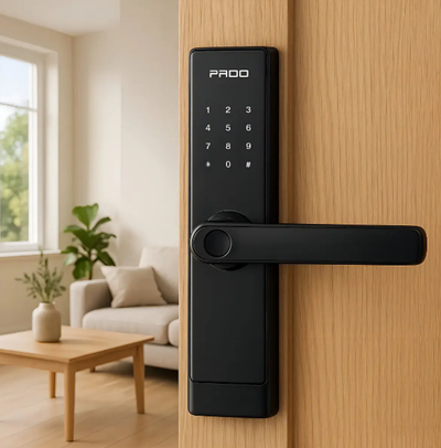 Fechadura FDE 250 TTlock Pado Ideal Airbnb | Senha Tag Biometria Chave Bluetooth Preto