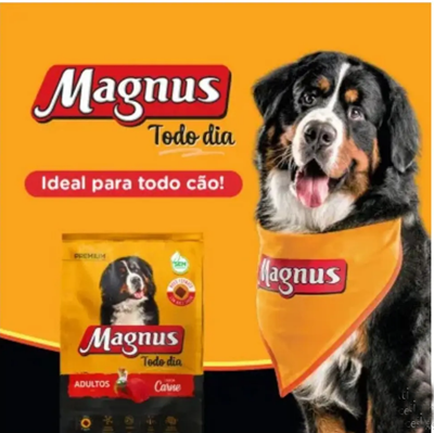 Ração Todo Dia Cão Adulto Magnus Premium Sabor Carne 15kg
